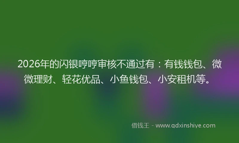 2026年的闪银哼哼审核不通过有：有钱钱包、微微理财、轻花优品、小鱼钱包、小安租机等。