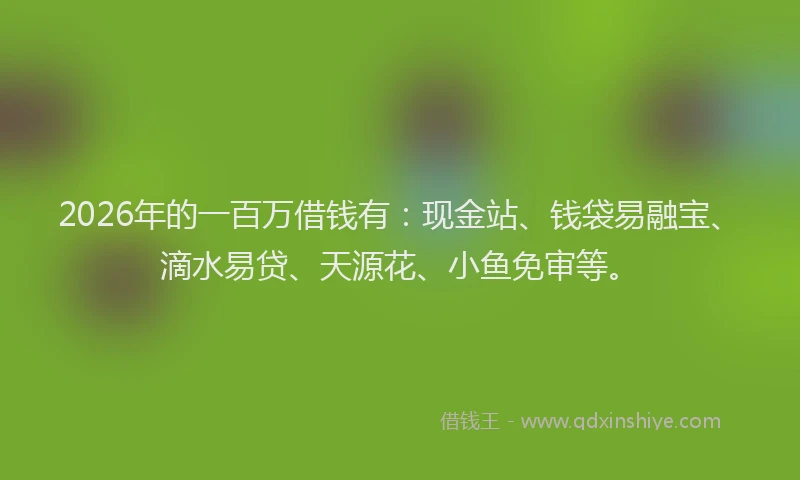 2026年的一百万借钱有：现金站、钱袋易融宝、滴水易贷、天源花、小鱼免审等。