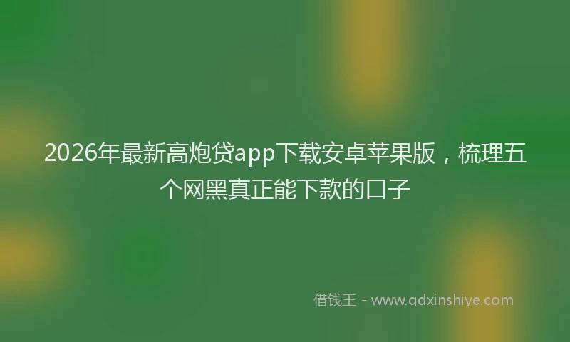 2026年最新高炮贷app下载安卓苹果版，梳理五个网黑真正能下款的口子