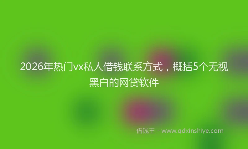 2026年热门vx私人借钱联系方式，概括5个无视黑白的网贷软件