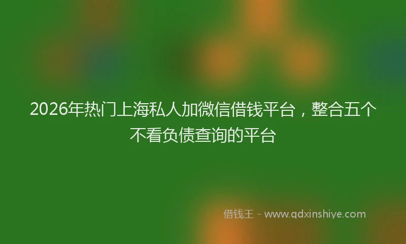 2026年热门上海私人加微信借钱平台，整合五个不看负债查询的平台