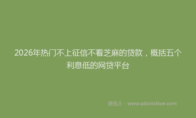 2026年热门不上征信不看芝麻的贷款，概括五个利息低的网贷平台