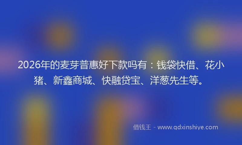 2026年的麦芽普惠好下款吗有：钱袋快借、花小猪、新鑫商城、快融贷宝、洋葱先生等。
