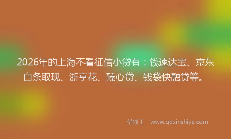 2026年的上海不看征信小贷有：钱速达宝、京东白条取现、浙享花、臻心贷、钱袋快融贷等。