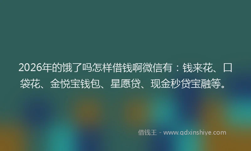 2026年的饿了吗怎样借钱啊微信有：钱来花、口袋花、金悦宝钱包、星愿贷、现金秒贷宝融等。