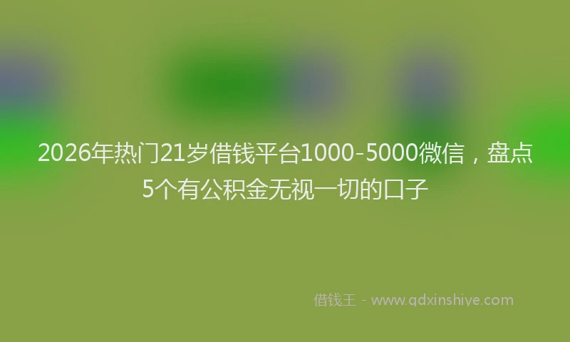 2026年热门21岁借钱平台1000-5000微信，盘点5个有公积金无视一切的口子