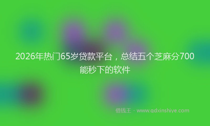 2026年热门65岁贷款平台，总结五个芝麻分700能秒下的软件