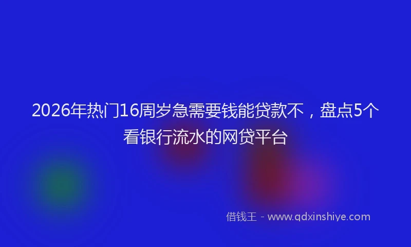 2026年热门16周岁急需要钱能贷款不，盘点5个看银行流水的网贷平台