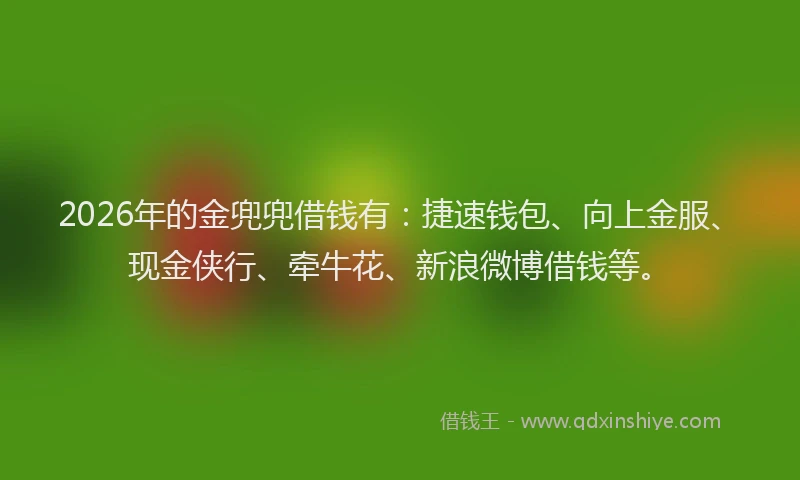 2026年的金兜兜借钱有：捷速钱包、向上金服、现金侠行、牵牛花、新浪微博借钱等。