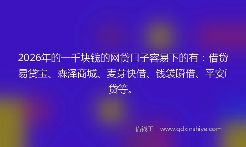 2026年的一千块钱的网贷口子容易下的有：借贷易贷宝、森泽商城、麦芽快借、钱袋瞬借、平安i贷等。