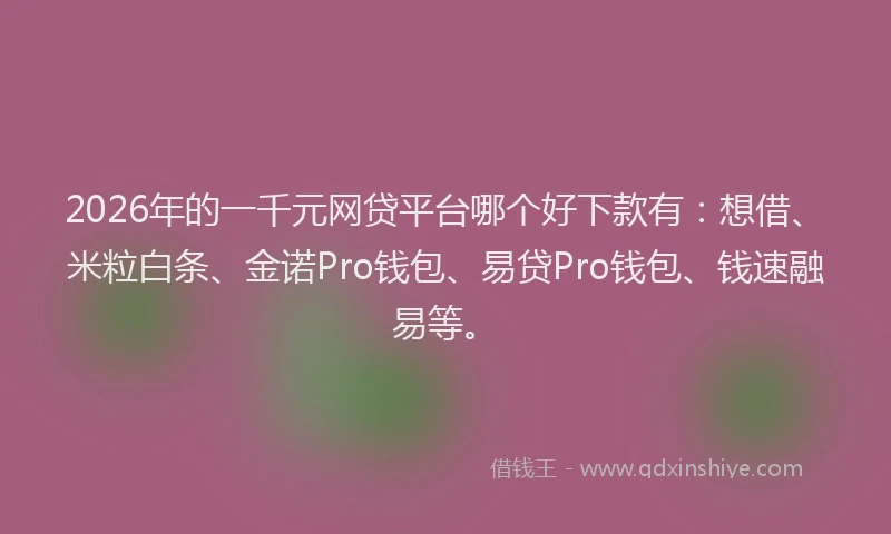 2026年的一千元网贷平台哪个好下款有：想借、米粒白条、金诺Pro钱包、易贷Pro钱包、钱速融易等。