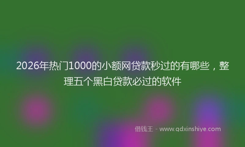 2026年热门1000的小额网贷款秒过的有哪些，整理五个黑白贷款必过的软件