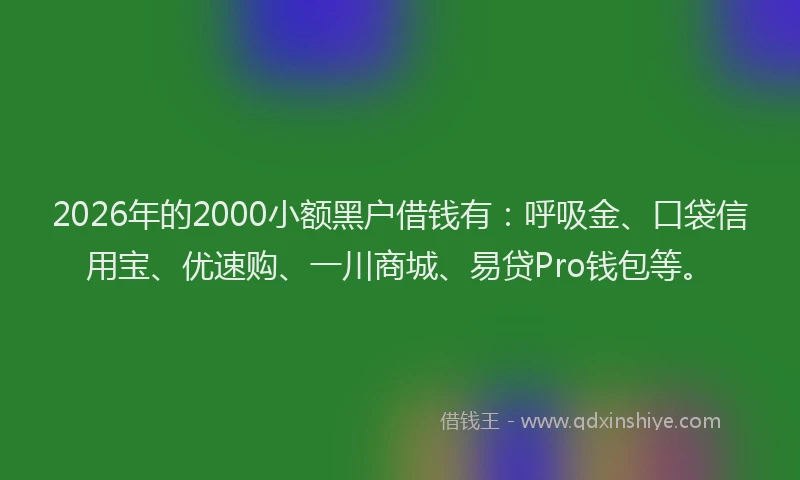 2026年的2000小额黑户借钱有：呼吸金、口袋信用宝、优速购、一川商城、易贷Pro钱包等。