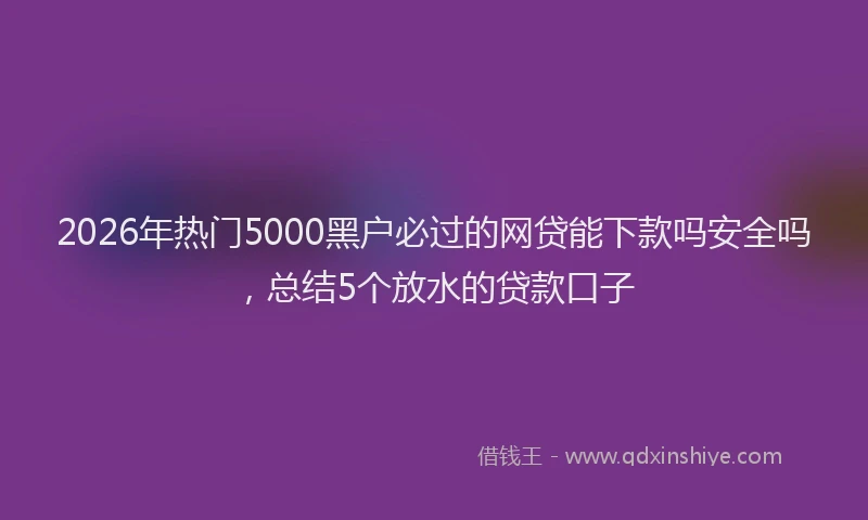 2026年热门5000黑户必过的网贷能下款吗安全吗，总结5个放水的贷款口子
