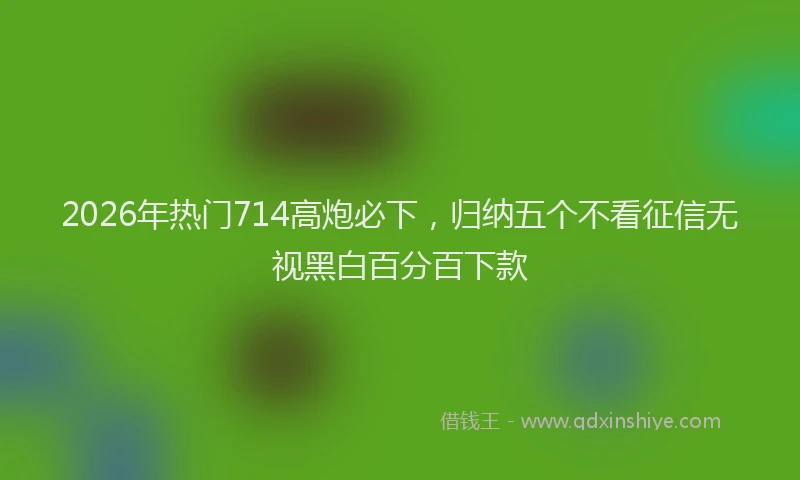 2026年热门714高炮必下，归纳五个不看征信无视黑白百分百下款