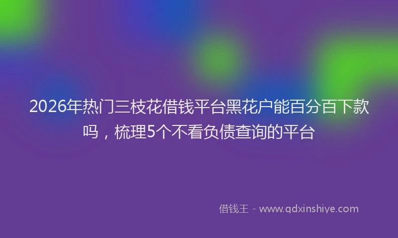 2026年热门三枝花借钱平台黑花户能百分百下款吗，梳理5个不看负债查询的平台