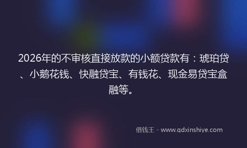 2026年的不审核直接放款的小额贷款有：琥珀贷、小鹅花钱、快融贷宝、有钱花、现金易贷宝盒融等。
