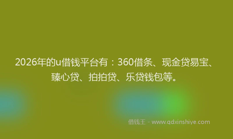 2026年的u借钱平台有：360借条、现金贷易宝、臻心贷、拍拍贷、乐贷钱包等。