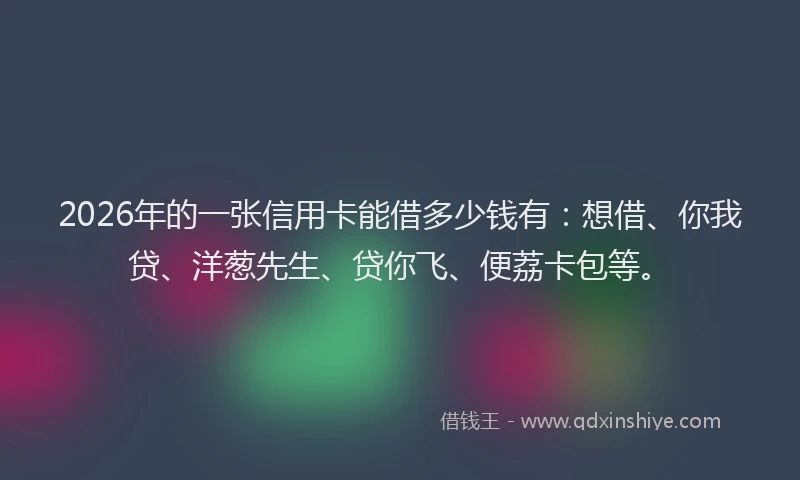 2026年的一张信用卡能借多少钱有：想借、你我贷、洋葱先生、贷你飞、便荔卡包等。