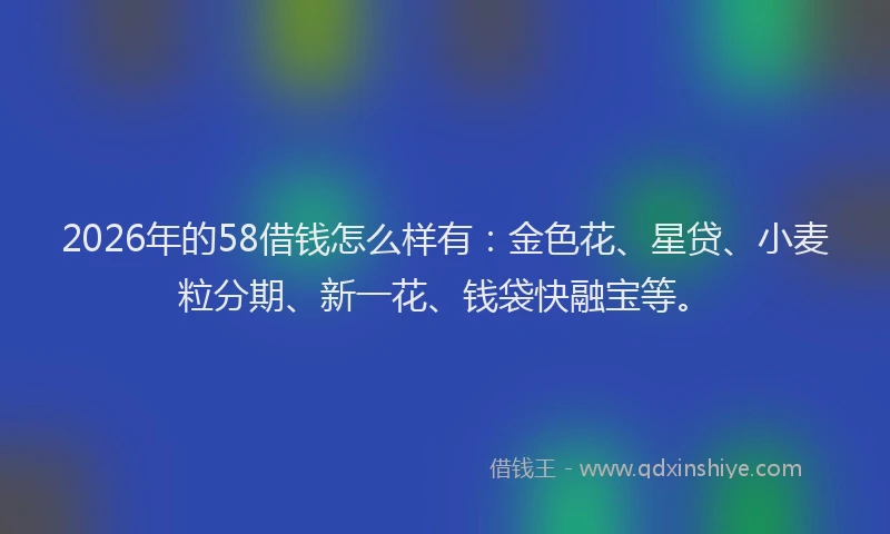 2026年的58借钱怎么样有：金色花、星贷、小麦粒分期、新一花、钱袋快融宝等。