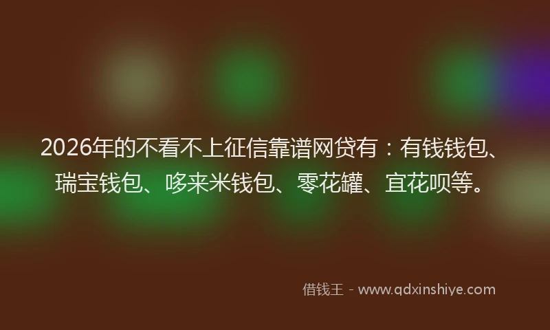 2026年的不看不上征信靠谱网贷有：有钱钱包、瑞宝钱包、哆来米钱包、零花罐、宜花呗等。