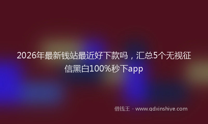 2026年最新钱站最近好下款吗，汇总5个无视征信黑白100%秒下app