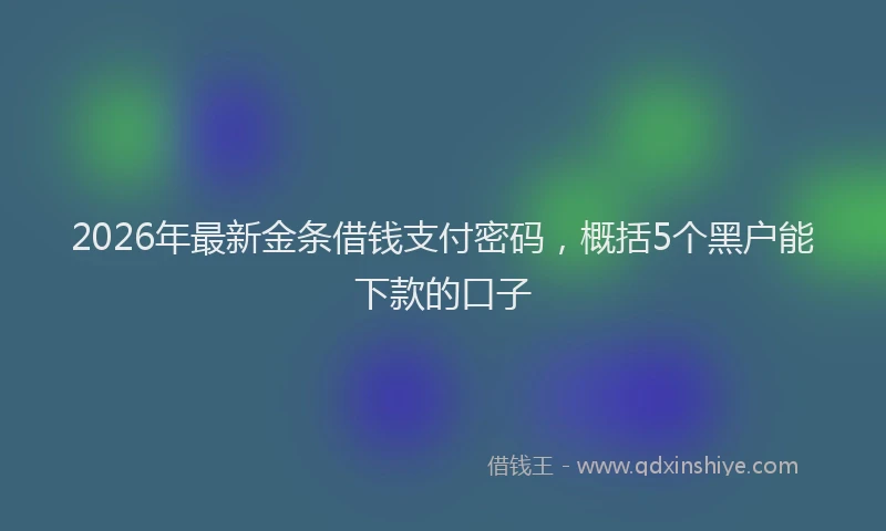 2026年最新金条借钱支付密码，概括5个黑户能下款的口子