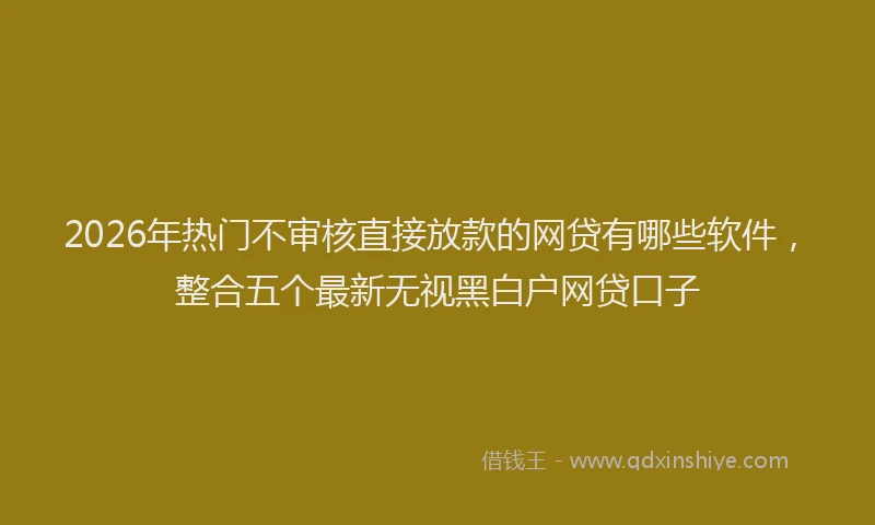 2026年热门不审核直接放款的网贷有哪些软件，整合五个最新无视黑白户网贷口子