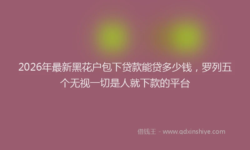 2026年最新黑花户包下贷款能贷多少钱，罗列五个无视一切是人就下款的平台