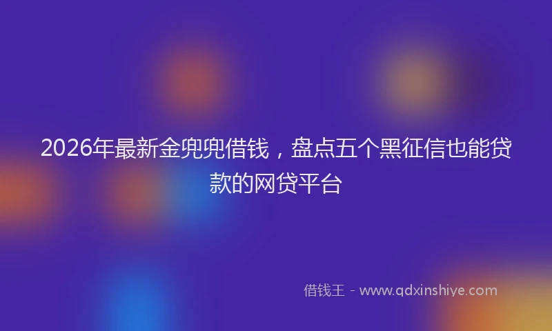 2026年最新金兜兜借钱，盘点五个黑征信也能贷款的网贷平台