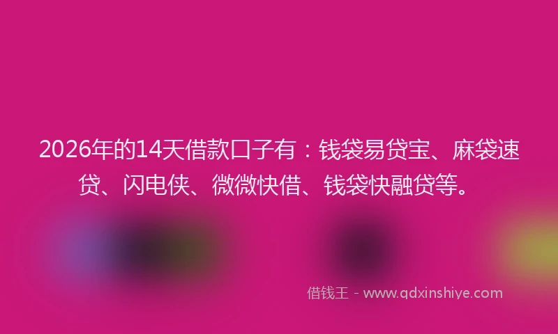 2026年的14天借款口子有：钱袋易贷宝、麻袋速贷、闪电侠、微微快借、钱袋快融贷等。