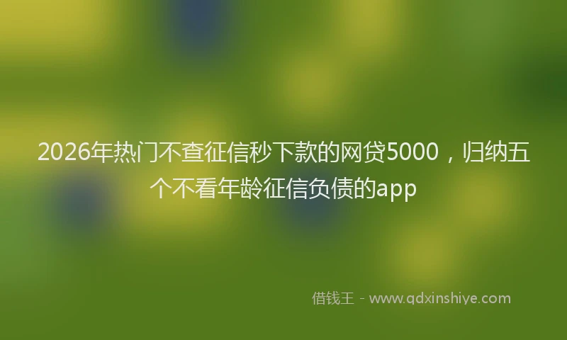 2026年热门不查征信秒下款的网贷5000，归纳五个不看年龄征信负债的app