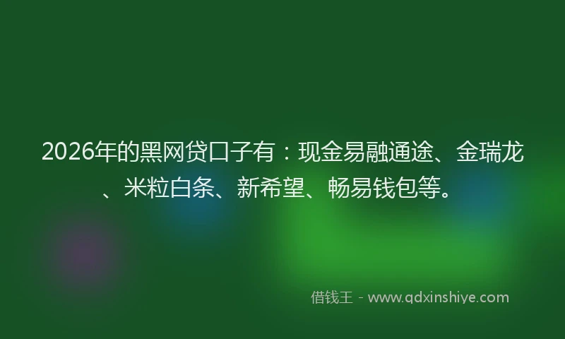 2026年的黑网贷口子有：现金易融通途、金瑞龙、米粒白条、新希望、畅易钱包等。