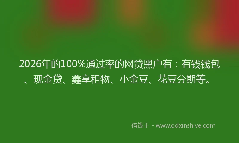 2026年的100%通过率的网贷黑户有：有钱钱包、现金贷、鑫享租物、小金豆、花豆分期等。