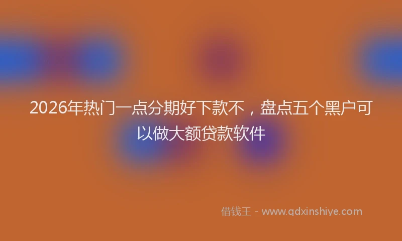 2026年热门一点分期好下款不，盘点五个黑户可以做大额贷款软件