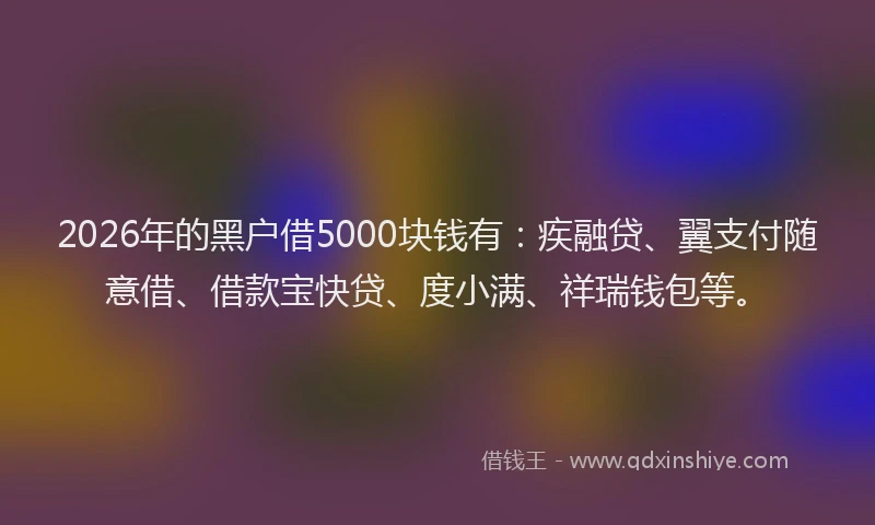 2026年的黑户借5000块钱有：疾融贷、翼支付随意借、借款宝快贷、度小满、祥瑞钱包等。