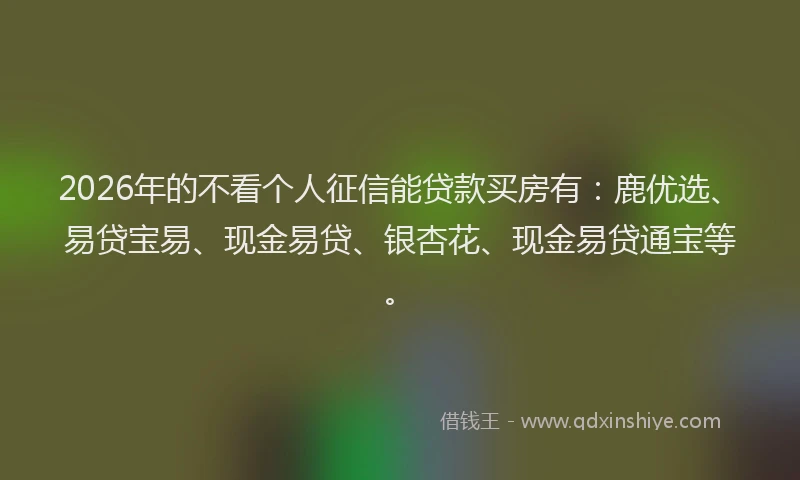 2026年的不看个人征信能贷款买房有：鹿优选、易贷宝易、现金易贷、银杏花、现金易贷通宝等。