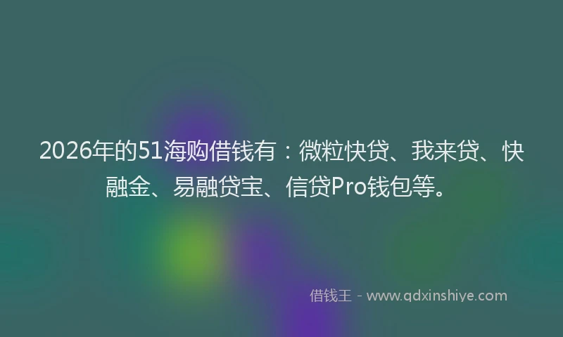 2026年的51海购借钱有：微粒快贷、我来贷、快融金、易融贷宝、信贷Pro钱包等。
