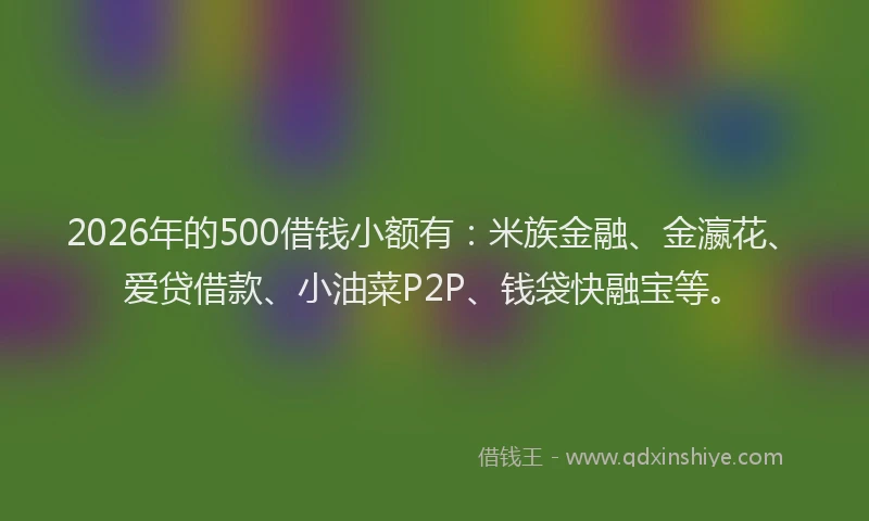 2026年的500借钱小额有：米族金融、金瀛花、爱贷借款、小油菜P2P、钱袋快融宝等。