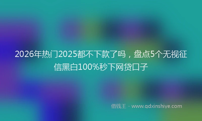 2026年热门2025都不下款了吗，盘点5个无视征信黑白100%秒下网贷口子