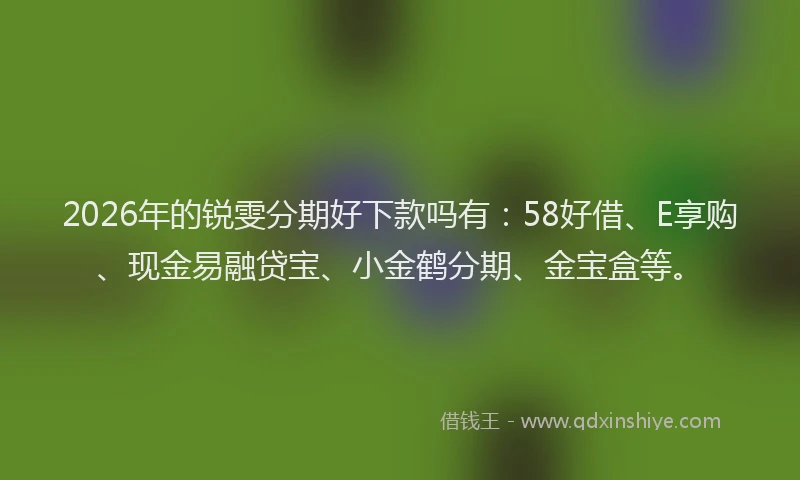 2026年的锐雯分期好下款吗有：58好借、E享购、现金易融贷宝、小金鹤分期、金宝盒等。