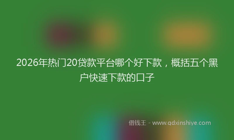 2026年热门20贷款平台哪个好下款，概括五个黑户快速下款的口子