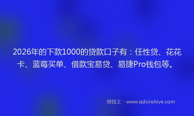 2026年的下款1000的贷款口子有：任性贷、花花卡、蓝莓买单、借款宝易贷、易捷Pro钱包等。