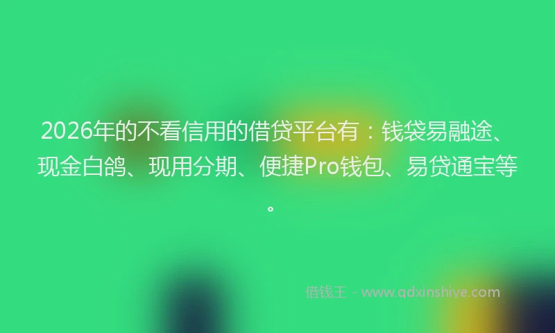 2026年的不看信用的借贷平台有：钱袋易融途、现金白鸽、现用分期、便捷Pro钱包、易贷通宝等。