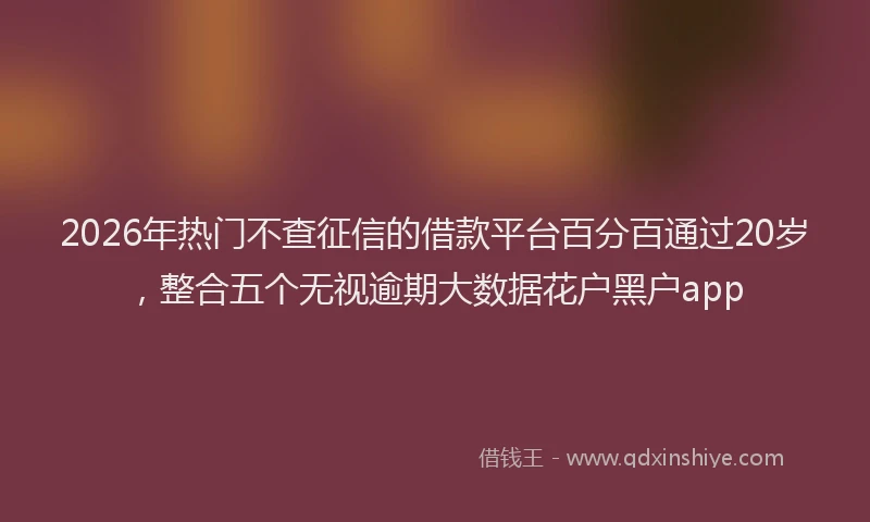 2026年热门不查征信的借款平台百分百通过20岁，整合五个无视逾期大数据花户黑户app