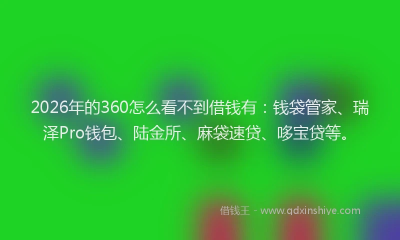 2026年的360怎么看不到借钱有：钱袋管家、瑞泽Pro钱包、陆金所、麻袋速贷、哆宝贷等。