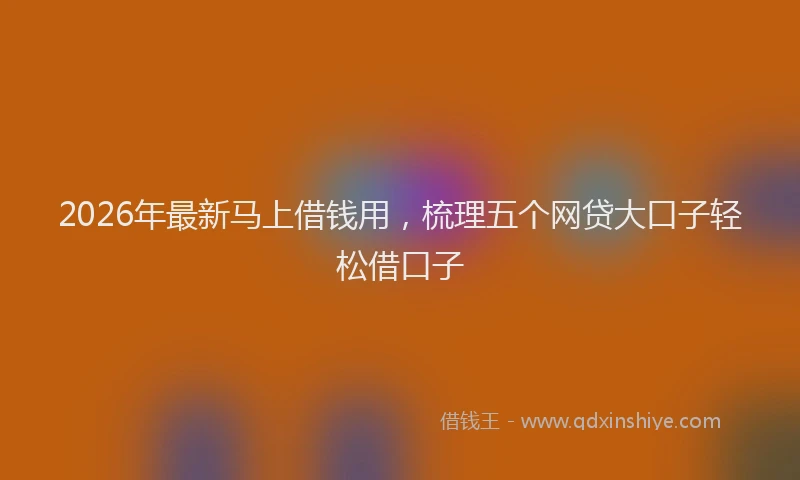 2026年最新马上借钱用，梳理五个网贷大口子轻松借口子