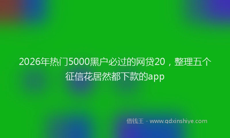 2026年热门5000黑户必过的网贷20，整理五个征信花居然都下款的app