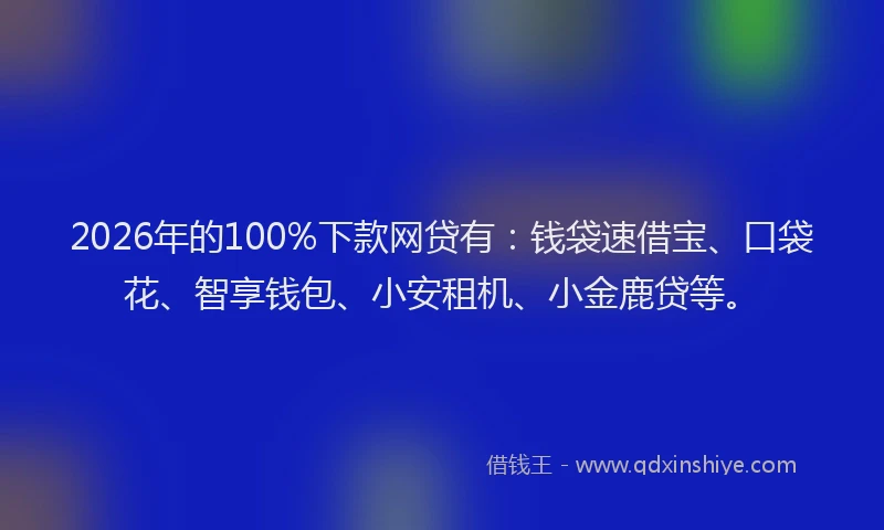 2026年的100%下款网贷有：钱袋速借宝、口袋花、智享钱包、小安租机、小金鹿贷等。
