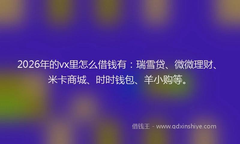 2026年的vx里怎么借钱有：瑞雪贷、微微理财、米卡商城、时时钱包、羊小购等。